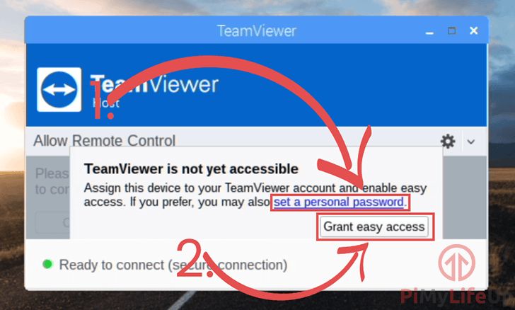 TeamViewer应用选择访问或设置密码